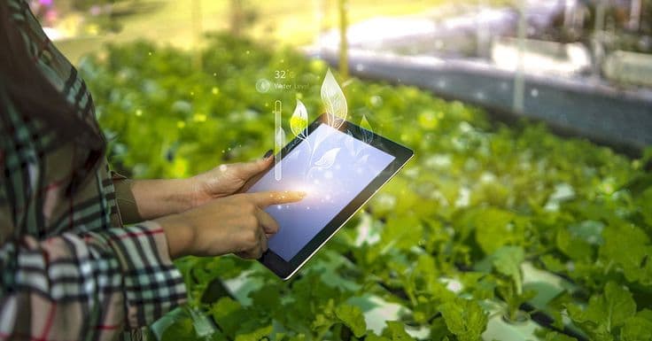 Digital Agriculture