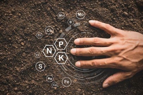 Soil Health Indicators and Their Role in Crop Productivity