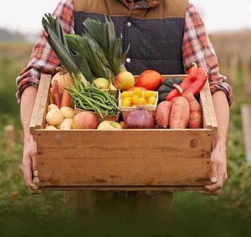 Direct to Consumer Farming: Direct Marketing Strategies for Farmers