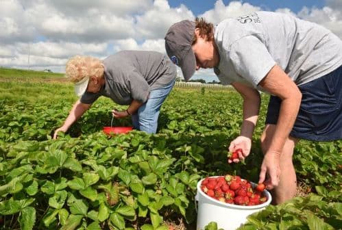 The New Age of Farming: Profitable Business Models Everyone Should Know