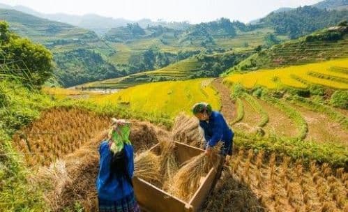 Foundations of Sustainable Agricultural Practices