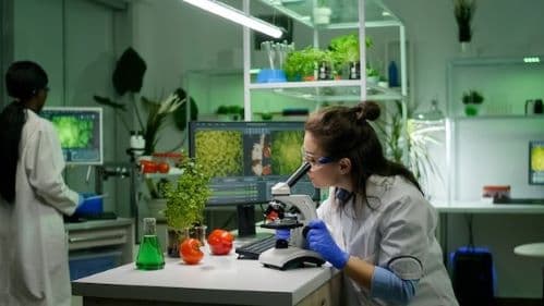 Green Biotechnology: Small Scientific Ideas with Big Benefits