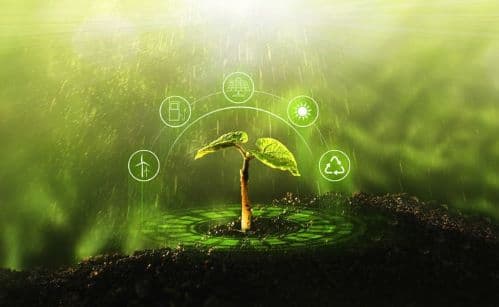 What Science Learns From Nature?